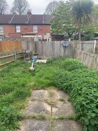 Overgrown garden in need of maintenance, displaying unruly vegetation and lack of structure